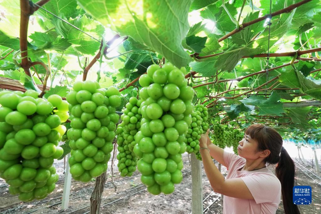 下载游戏中心软件